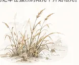 靡草死物候插画