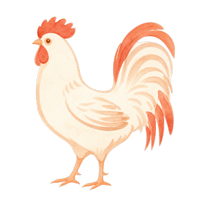 冲鸡生肖插图